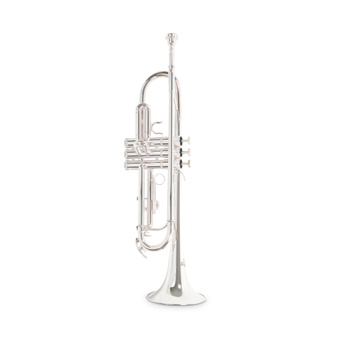 ROY BENSON TROMPETTE Sib TR-202