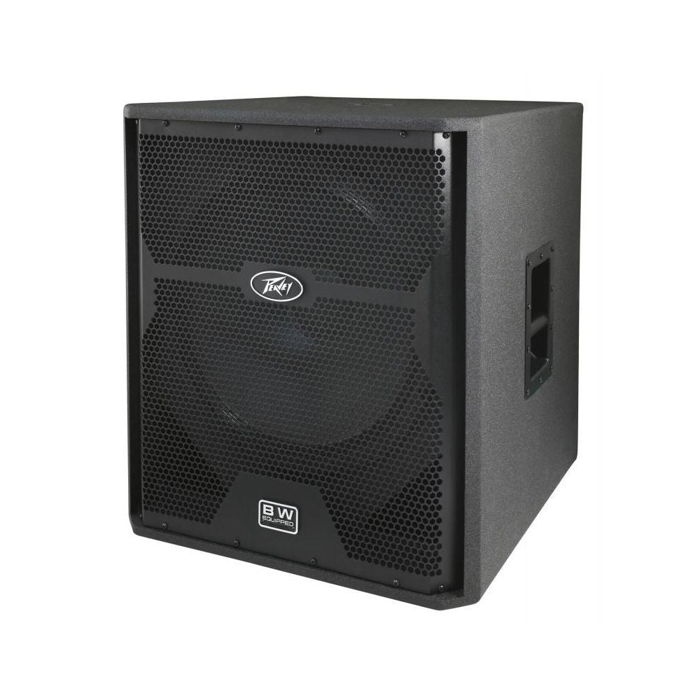 PEAVEY DPE 118P