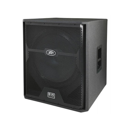 PEAVEY DPE 118P