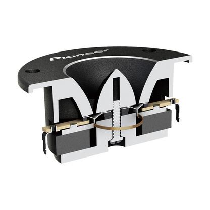 PIONEER TS-B1010PRO (paire)