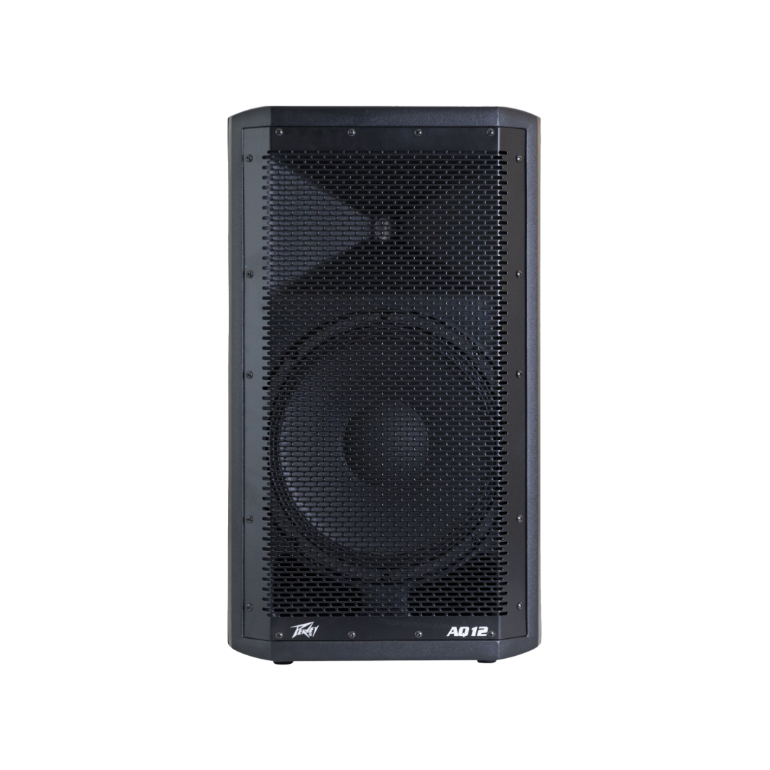 PEAVEY AQ 12