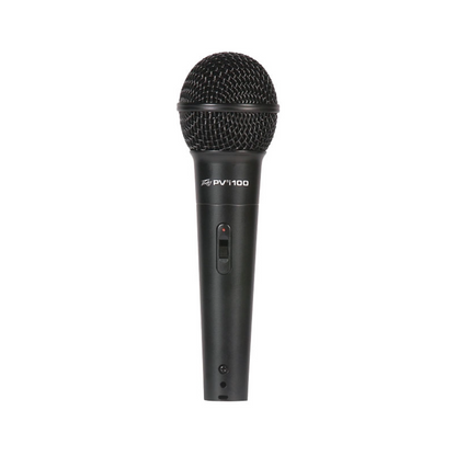 PEAVEY PVI 100 XLR