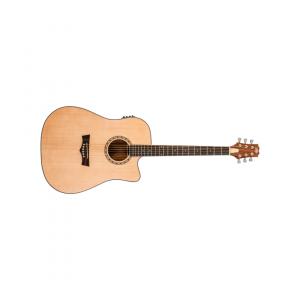 PEAVEY DW-2CE
