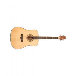 PEAVEY DW-1