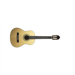 PEAVEY CNS 3/4