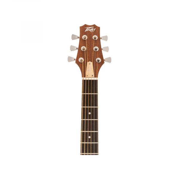 PEAVEY DW-1 – Image 4
