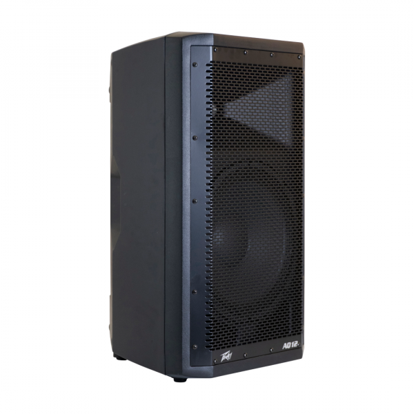 PEAVEY AQ 12 – Image 2