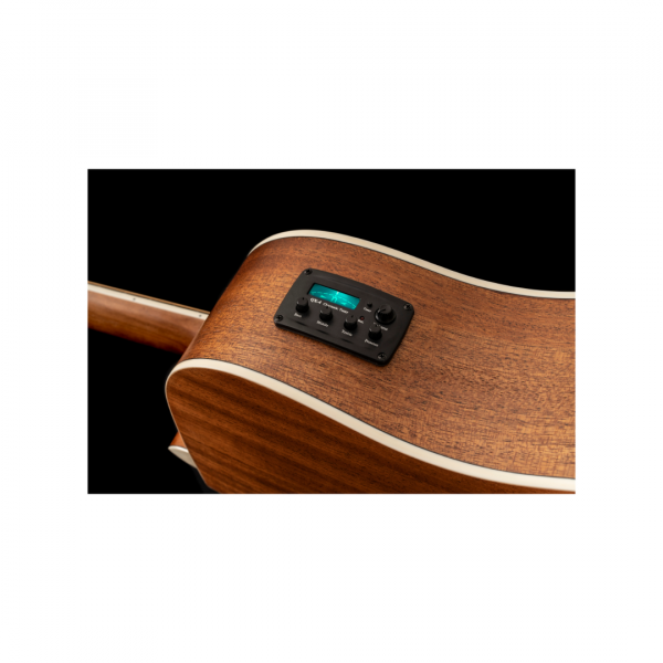 PEAVEY DW-2CE – Image 5